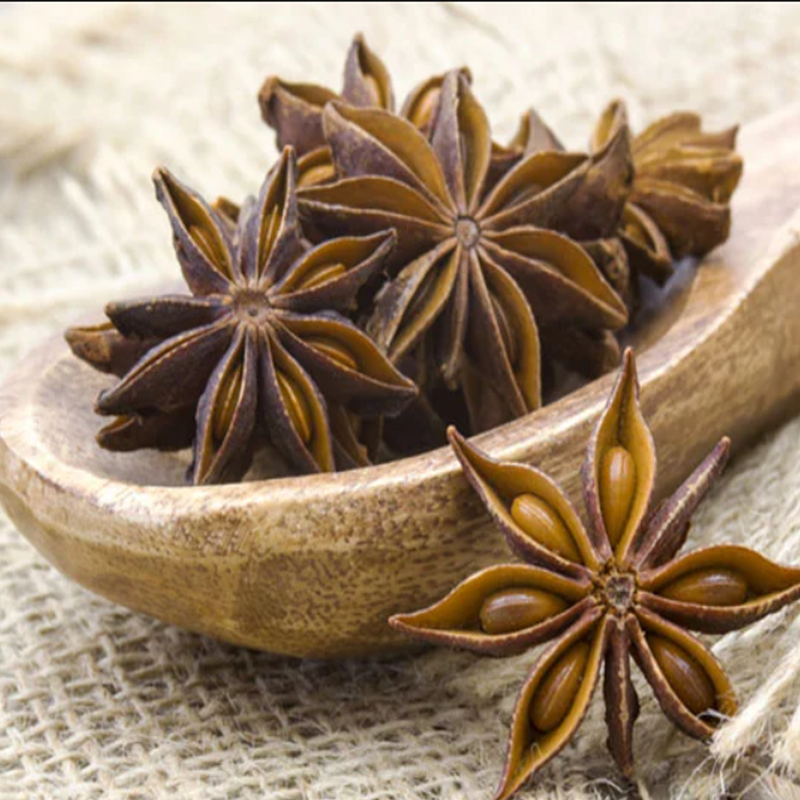 Anis vert (Pimpinella anisum) - 50gr - نجمة السعد كعب